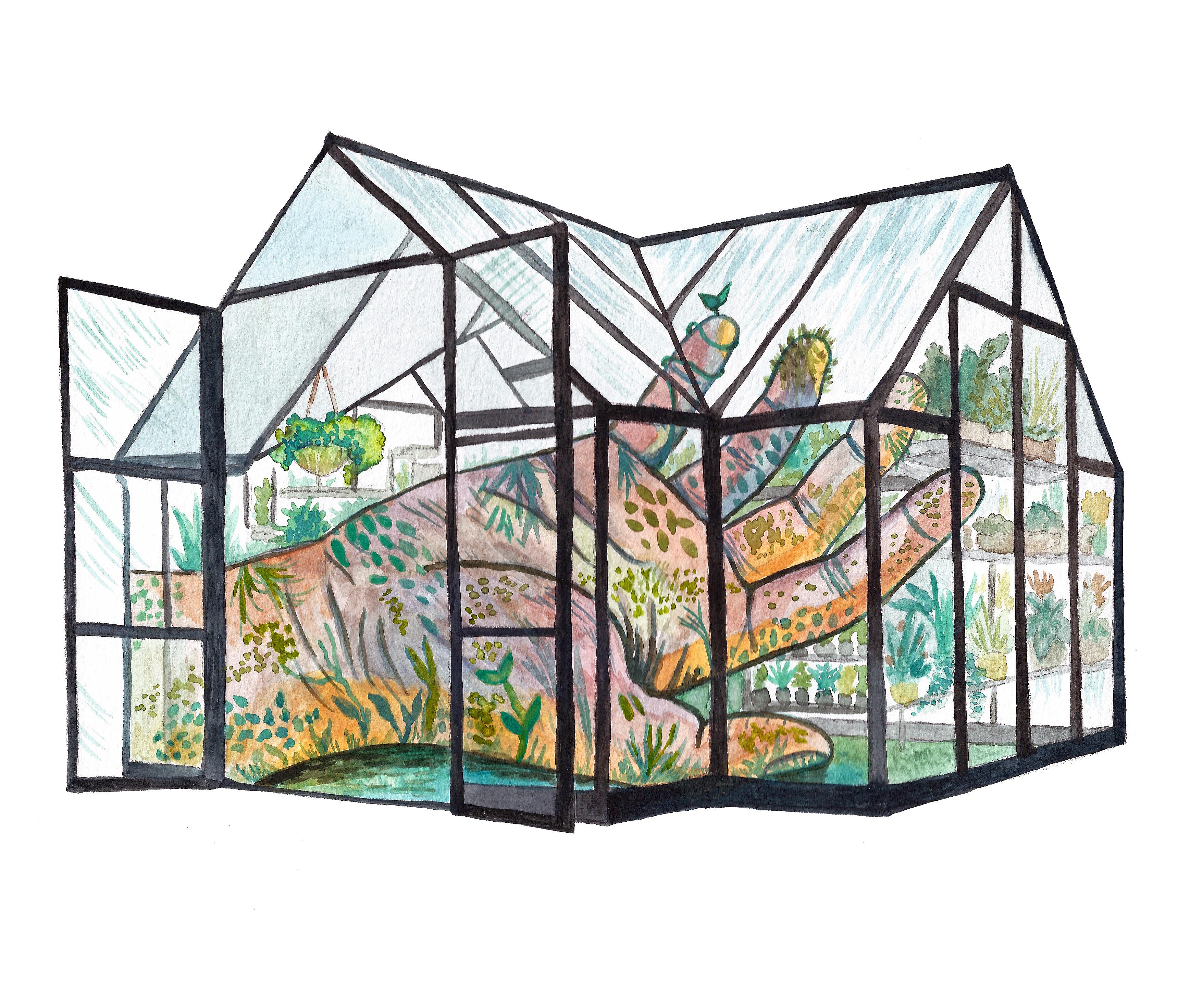 Greenhouse