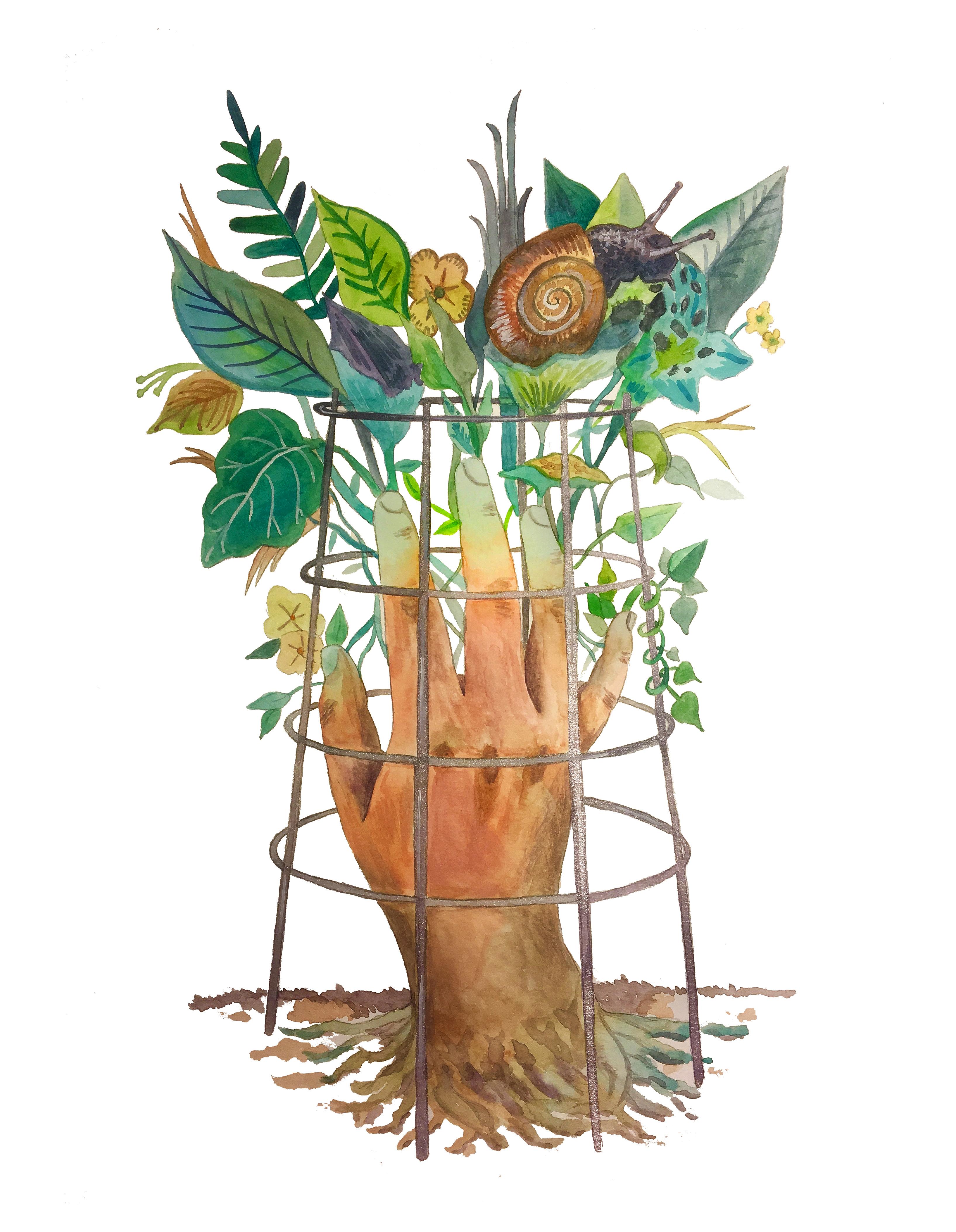 Cage or support
