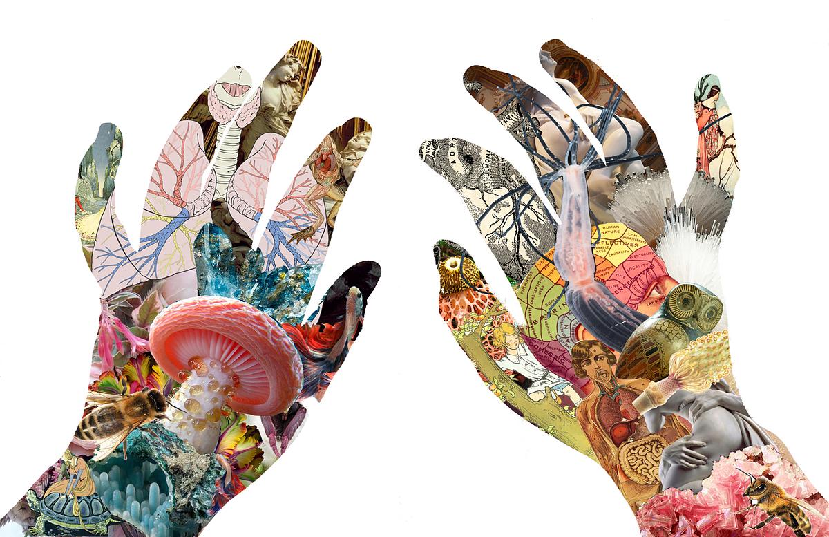 folder_preview_463088