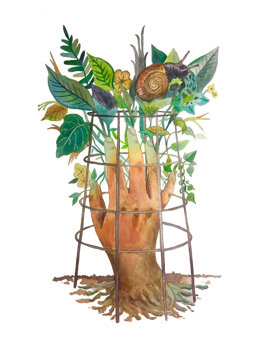 Cage or support
